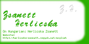 zsanett herlicska business card